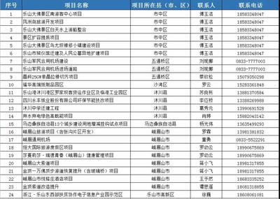 乐山市2020年重点金融合作项目清单